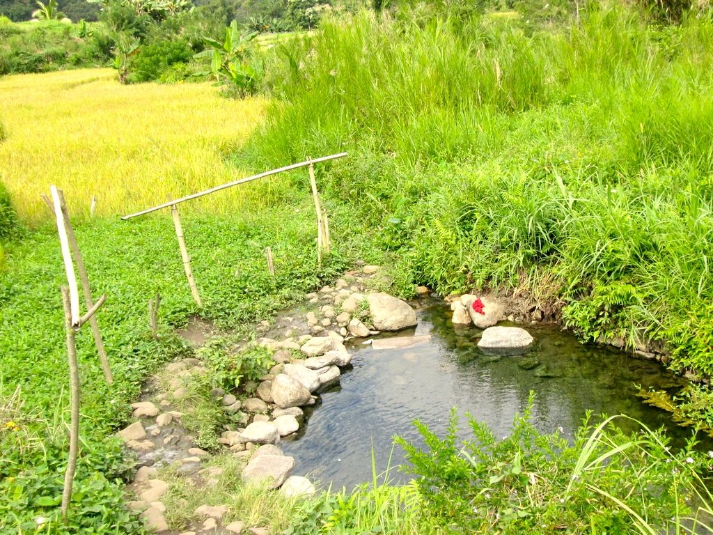 Air panas Kolorongo yang berada di tengah areal persawahan di desa Waturaka | Foto: Ebed de Rosary