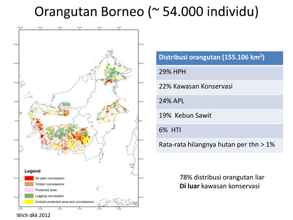 Jumlah orangutan kalimantan dan persebarannya. Sumber: Presentasi Sri Suci Utami Atmoko