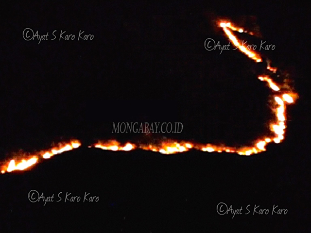 api3-Dari jarak 1 Km dari Kabupaten Karo kobaran api kebakaran hutan Sipiso Piso terlihat jelas (Ayat S Karokaro)