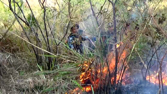api4-Kawasan hutan Sipiso Piso Karo dipenuhi ilalang kering menyebabkan api terus membesar dan meluas (Ayat S Karokaro)