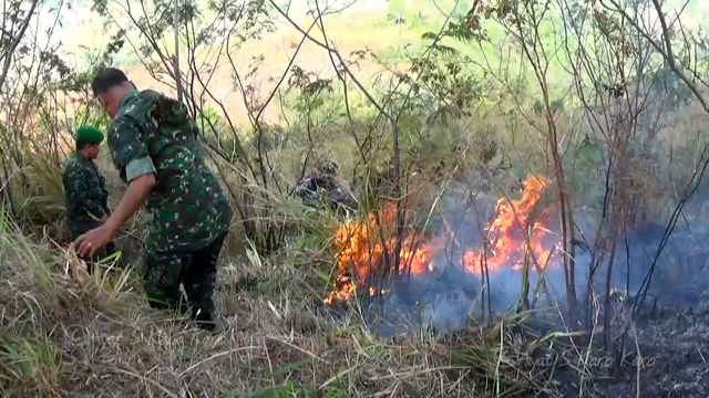Pasukan TNI berjibaku berusaha memadamkan kebakaran hutan di Karo ini. Foto: Ayat S Karokaro
