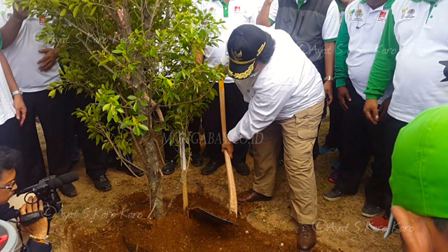 Siti Nurbaya, Menteri LHK menanam bibit pohon di hutan Huta Ginjang, Tapanuli Utara. Foto: Ayat S Karokaro