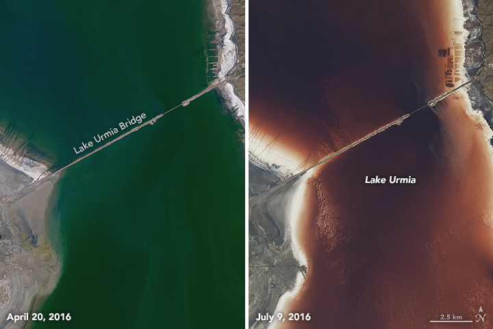 Perbandingan perubahan warna Danau Urmia Iran dari warna hijau menjadi merah. Sumber : NASA 