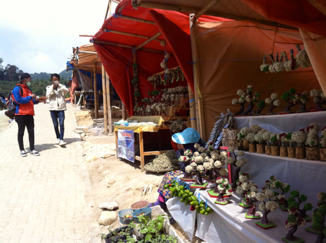 Selain pangan khas Deing, warung di wisata Sikidang, ada yang menjual edelweis. Foto: Nuswantoro