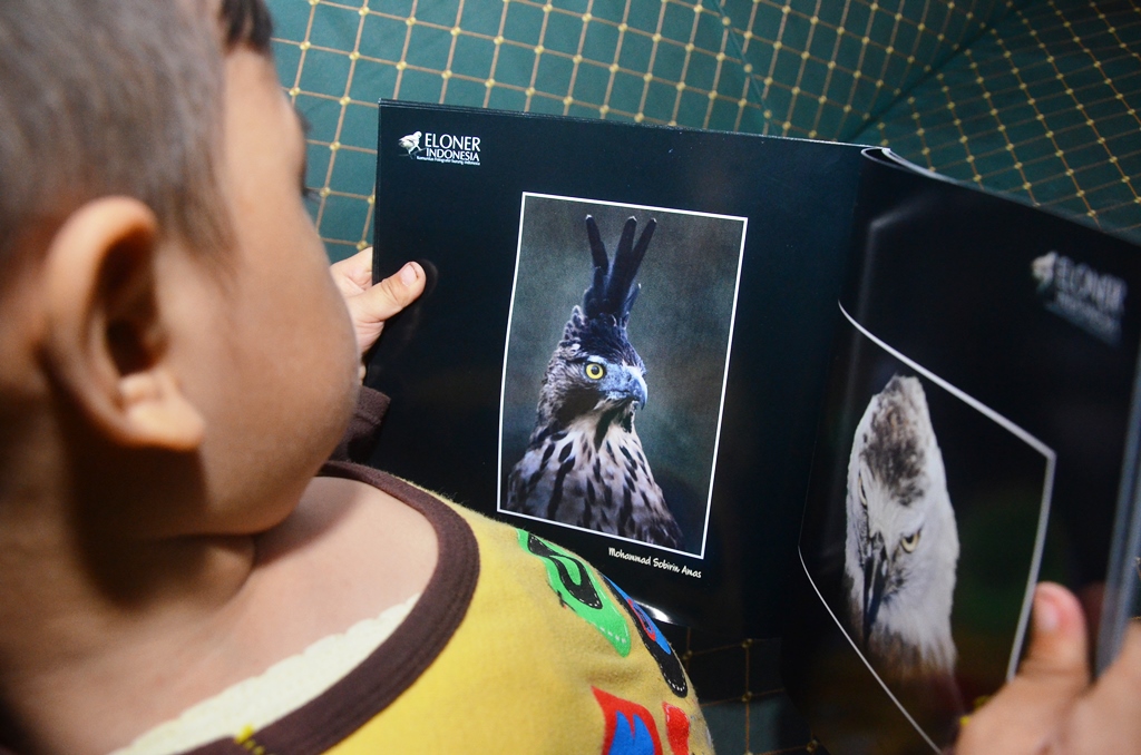 Seorang anak kecil melihat buku berisi kumpulan bidikan elang yang digagas oleh komunitas pemotret burung (Eloner Indonesia) di Bandung. keberadaan buku tersebut dapat mengedukasi generasi muda agar menubuhkan rasa peduli terhadap satwa yang terancam punah tersebut. Foto : Donny Iqbal