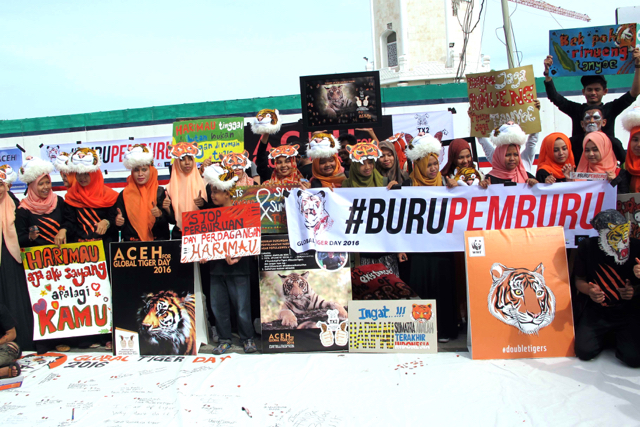 Peringatan Hari Harimau Dunia di Aceh. Foto: Chik Rini