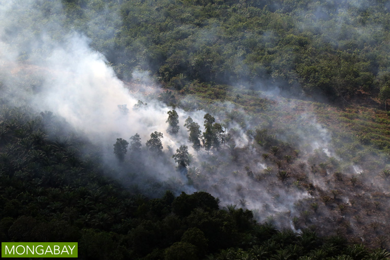 Kebakaran di lahan gambut di Riau. Foto: Rhett A. Butler