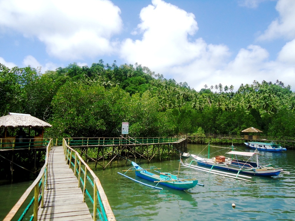 Pemandangan di lokasi ekowisata mangrove Pintu Kota Pulau Lembeh, Bitung, Sulut. Foto : Themmy Doaly