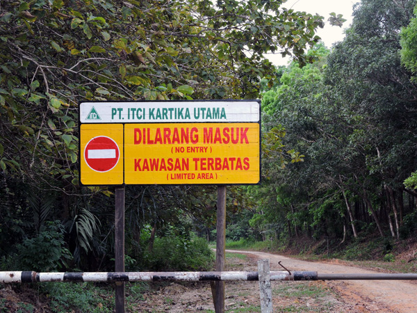 Wilayah PT. ITCI, yang dianggap sebagai salah satu daerah yang letaknya di hulu Teluk Balikpapan. Foto: Christopel Paino 