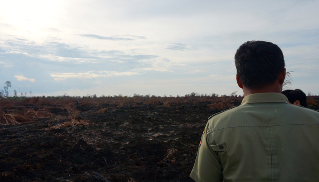 Tampak pepohonan di lahan gambut yang terbakar itu merupakan tempat TNI Pratu Wahyudi tewas kala berusaha memadamkan karhutla. Foto: Lusia Arumingtyas