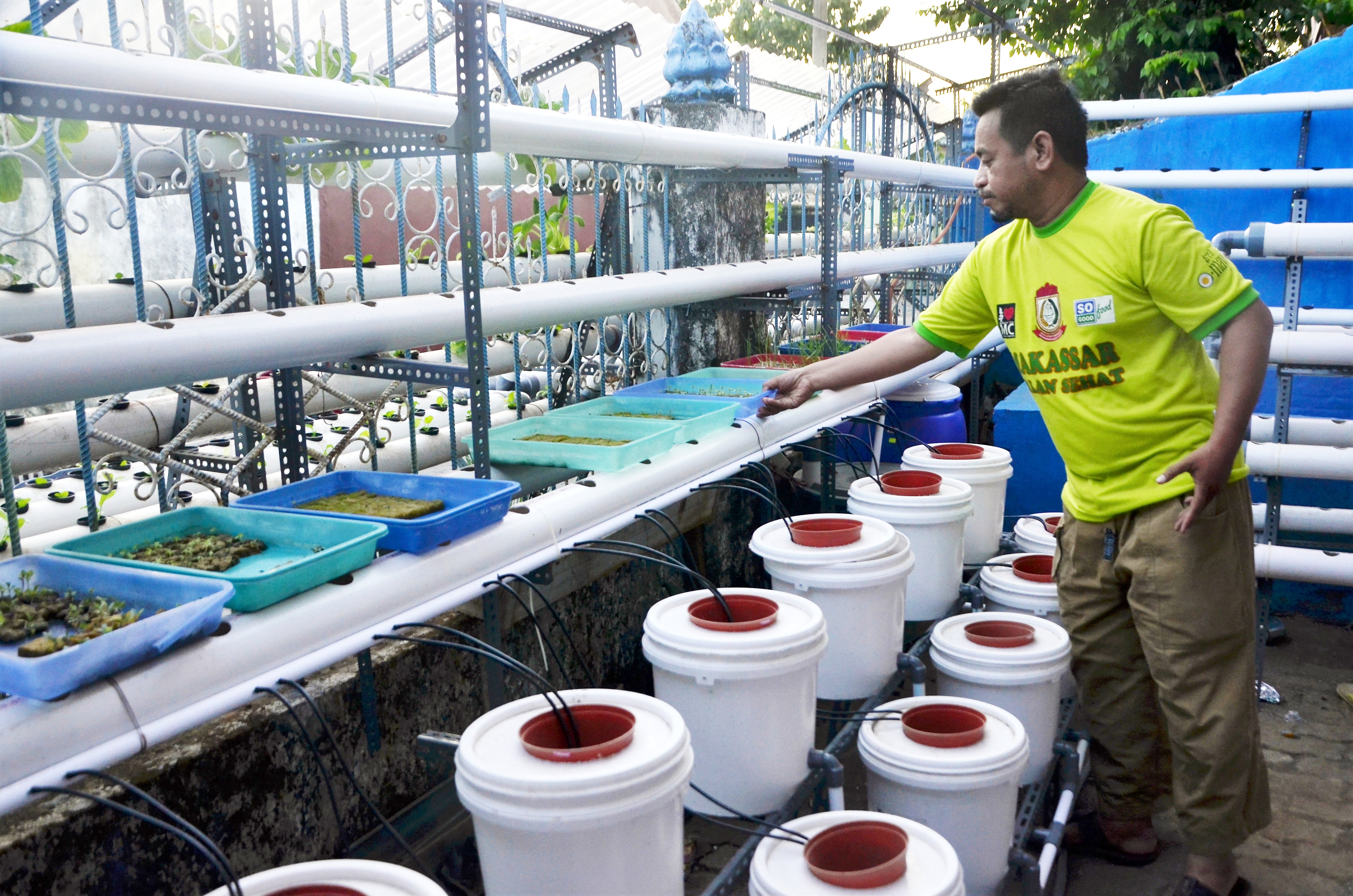 Ada beberapa metode hidroponik yang bisa digunakan Takdir Syafruddin (45), salah seorang penggiat tanaman hidroponik di Kota Makassar, Sulawesi Selatan. Selain DFT juga bisa dengan cara Dutch Bucket, yang khusus untuk tanaman buah, seperti lombok, tomat dan terong. Foto: Wahyu Chandra