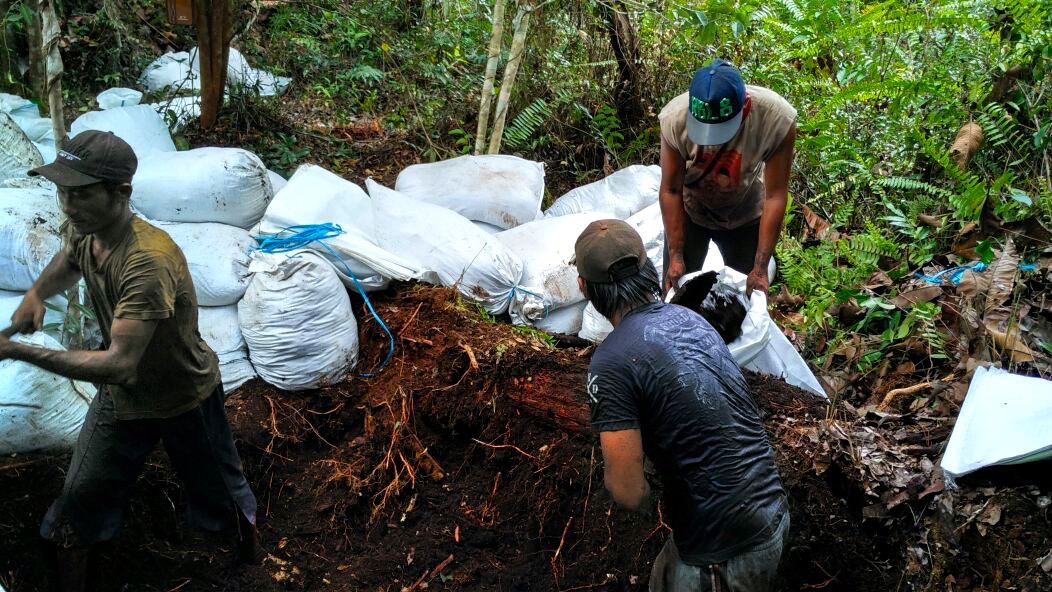 Karung berisi tanah, digunakan untuk mengisi konstruksi sekat kanal. Foto: Indra Nugraha