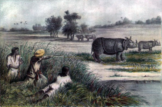 Lukisan yang mengilustrasikan perburuan badak jawa pada 1861. Sumber: Wikipedia
