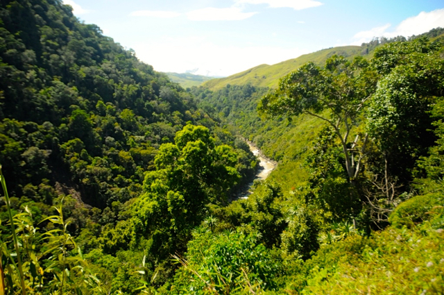 Lembah Sungai Betue, yang akan jadi sumber air PLTA. Foto: Eko Rusdianto