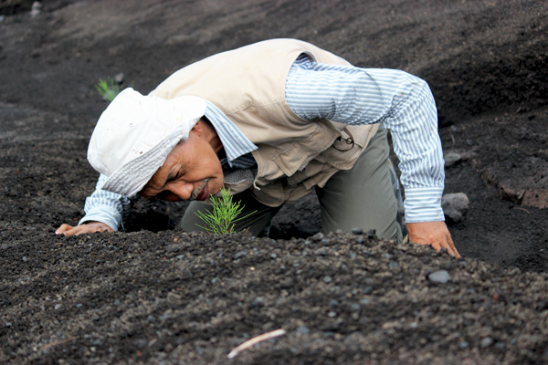 Meneliti suksesi yang terjadi di Krakatau adalah keahlian Tukirin yang telah dilakukannya sejak 1981. Foto: Rahmadi Rahmad
