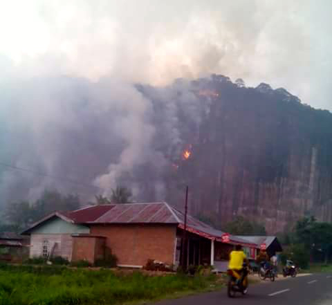 Kepulan asap dan kobaran api tampak terlihat di Lembah Harau. Foto: Vinolia
