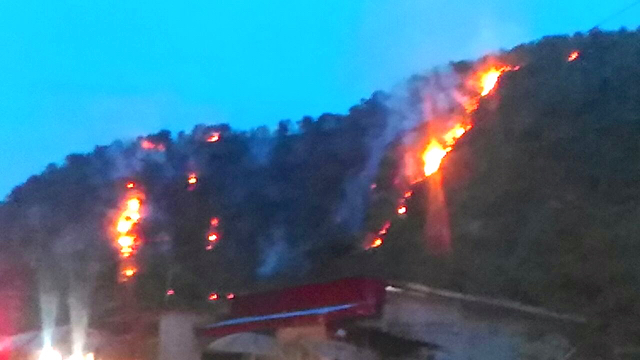 Api tampak berkobar di perbatasan Sawahlunto dan Sijujung Rabu sore (28/9/16). Foto: Yansen