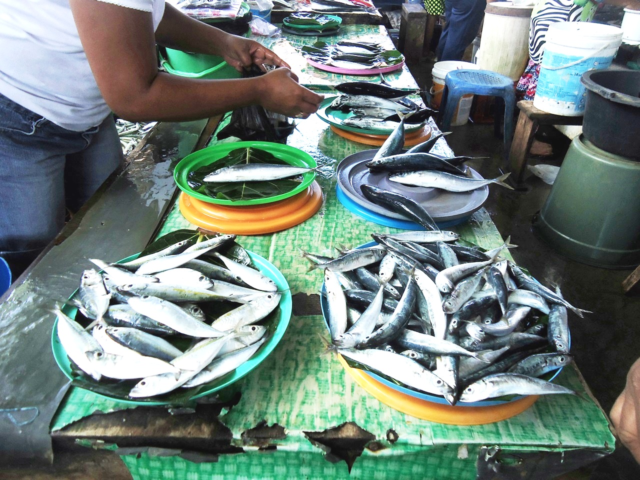 Ikan dalam satu wadah ini dijual seharga Rp20ribu di pasar ikan di Pulau Sangihe, Sulut. Foto : Themmy Doaly