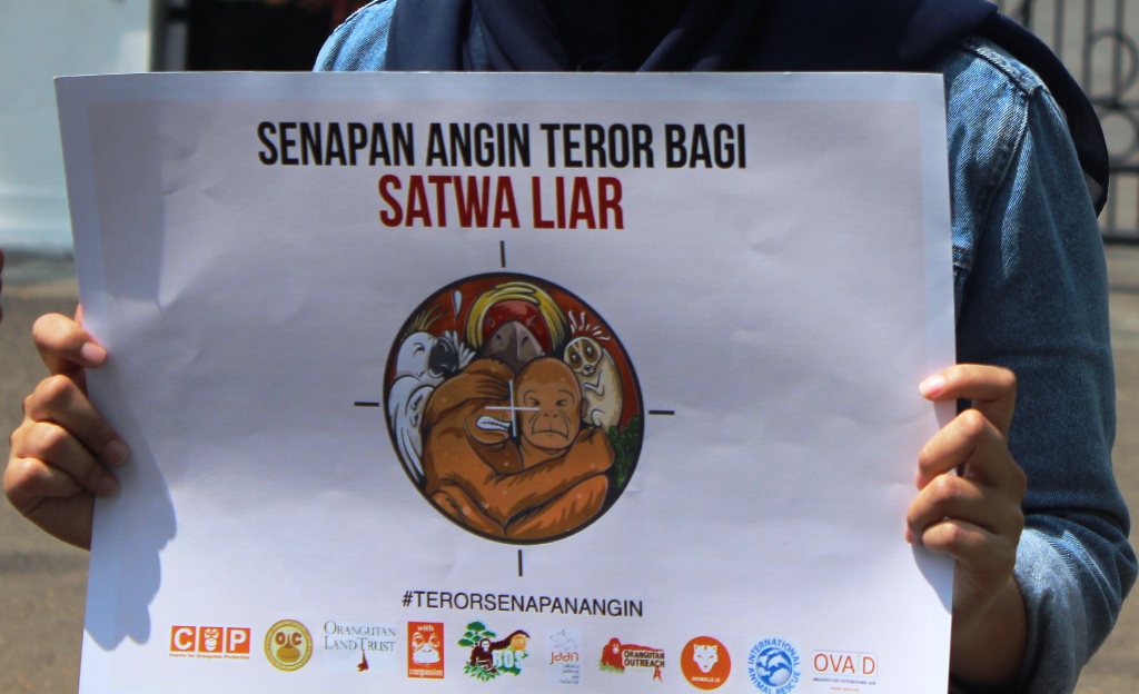 Pemerhati satwa dari Centre for Orangutan Protection (COP) melakukan kampanye tentang pengawasan penggunaan senapan angin di depan Gedung Sate, Jalan Diponegoro, Bandung, Jawa Barat, Rabu (14/9/2016). Kampanye digelar serentak di sepuluh kota di Indonesia untuk perlindungan satwa langka dari penyalahgunaan senapan angin. Foto : Donny Iqbal