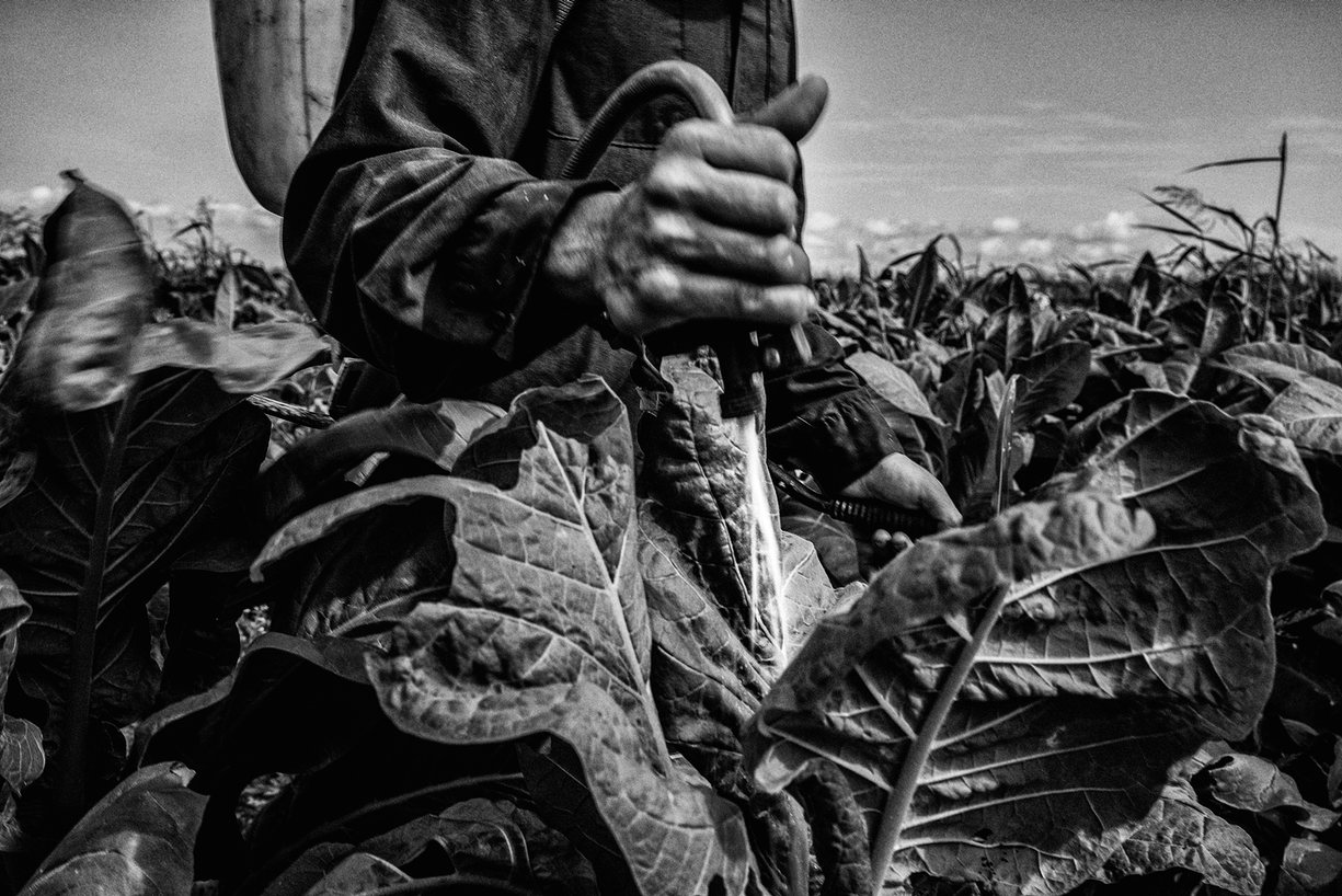 Foto: César Rodríguez / Environmental Photographer of the Year 2016