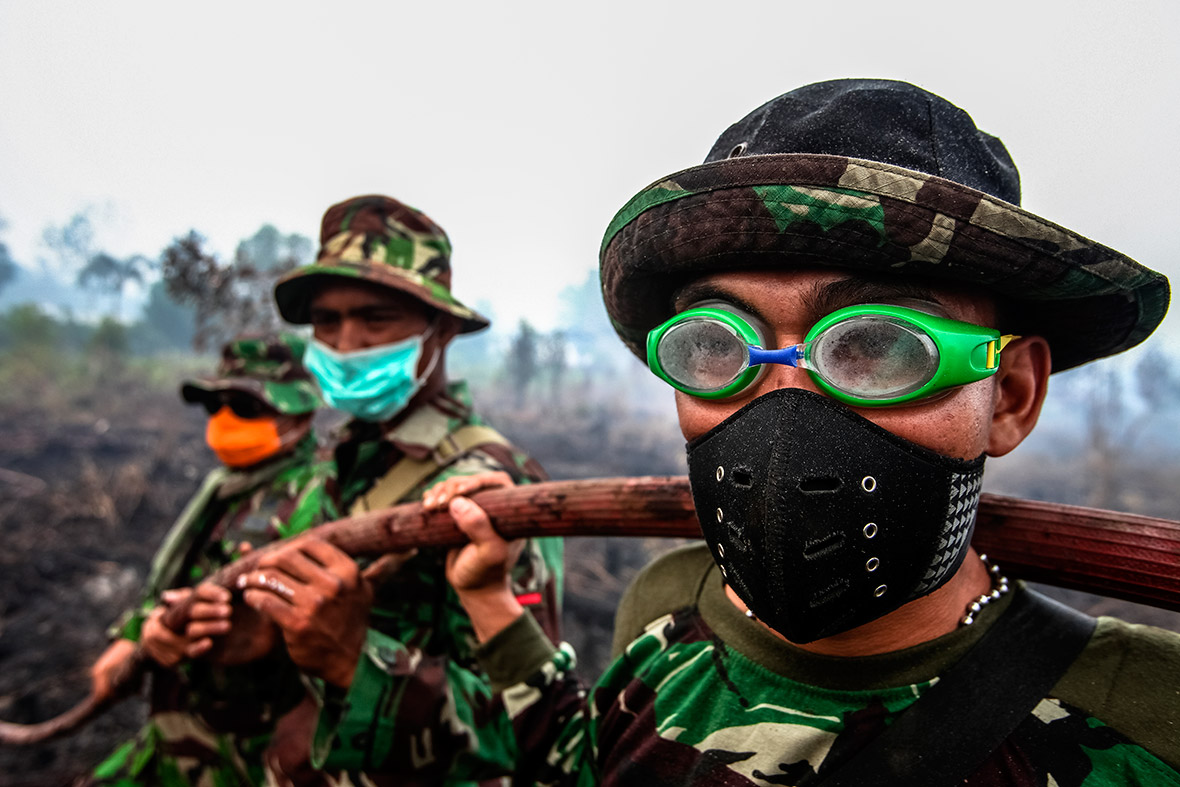 Api yang membakar hutan Rimbo Panjang, Kampar, Provinsi Riau, Sumatera. Foto : YT Haryono / Environmental Photographer of the Year 2016