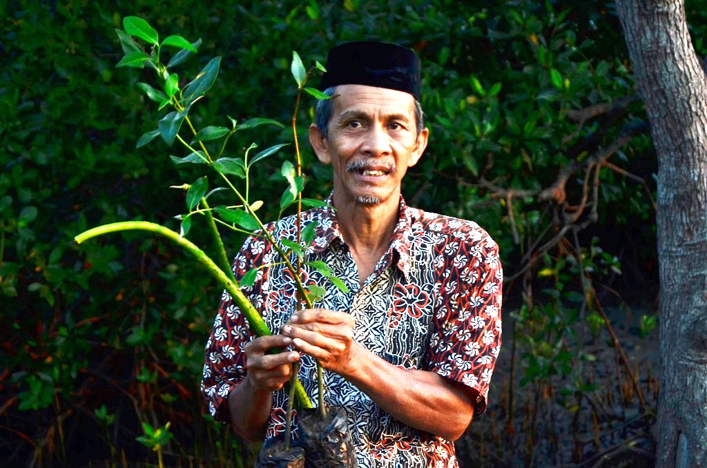 Meski usianya telah uzur, Hamzah tetap konsisten menjaga pesisir Untia, Kecamatan Biringkanayya, Makassar, Sulawesi Selatan. Ia melakukan pembibitan mangrove hingga penanaman dan pengawasan. Ia juga melibatkan warga lain dan siswa-siswa sekolah untuk ikut menanam. Foto: Wahyu Chandra