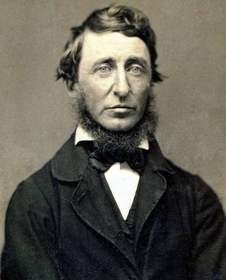 Ahli konservasi Henry David Thoreau Foto : wikimedia commons
