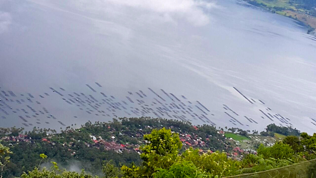 Keramba jala apung di Danau Maninjau, dari ketinggian. Foto: Vinolia