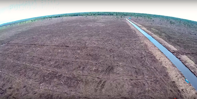 Kebakaran di konsesi RAPP tampak lewat drone. Foto: dari video BRG