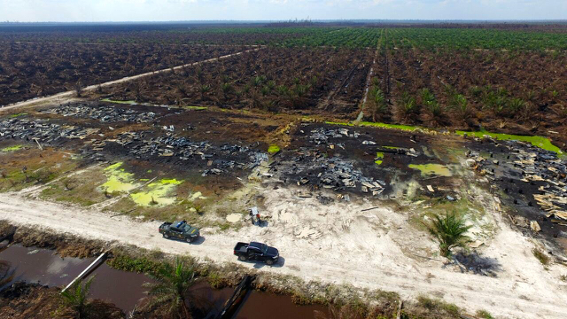 Hutan gambut yang berubah jadi kebun sawit yang terbakar (sengaja dibakar) di Rokan Hulu, Riau. Foto diambil dari drone Ditjen Gakum KLHK