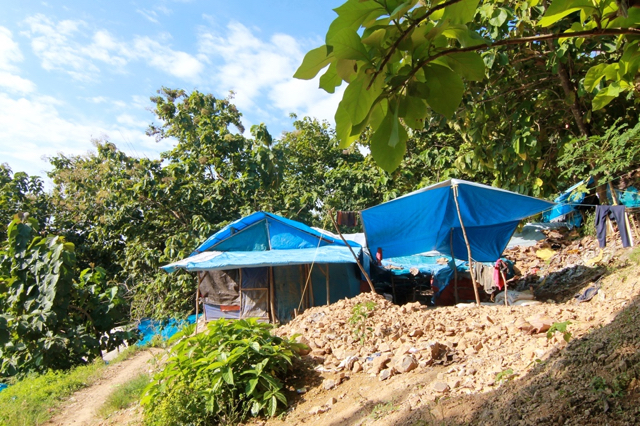 Tenda-tenda biru para penambang di Petak 56. Foto: Zuhana A Zuhro