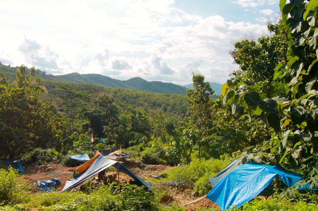 Tenda-tenda penambang di Petak 56. Foto: Zuhana A Zuhro