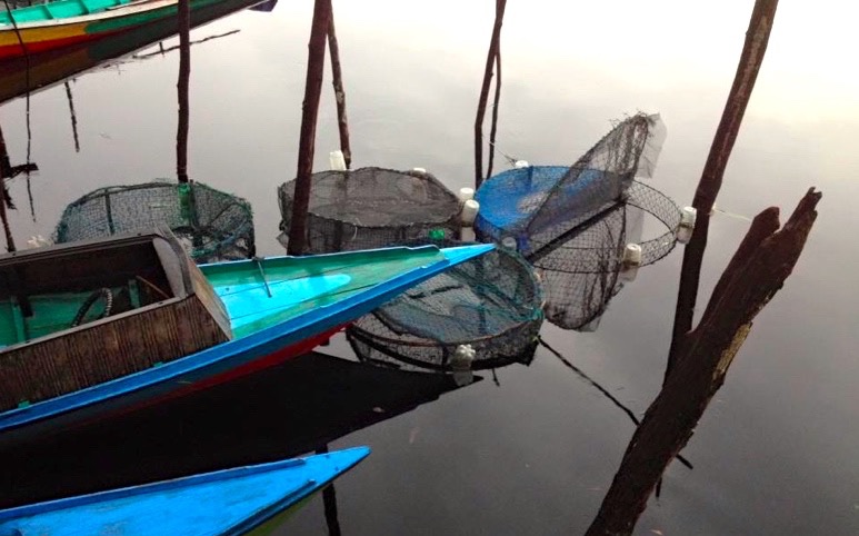 Beragam jenis ikan air tawar yang disimpan di keramba kecil ini, seperti toman, gabus, tapa dan sepatung. Foto Taufik Wijaya