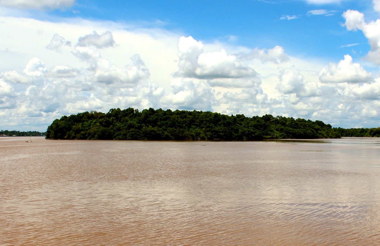 Pulau Mintin yang terbentang di tengah Sungai Kahayan. Foto: James Donny
