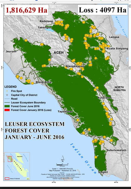 Periode Januari – Juni 2016, hutan di KEL berkurang 4.097 hektare. Sumber: Yayasan Hutan Alam dan Lingkungan Aceh (HAkA)