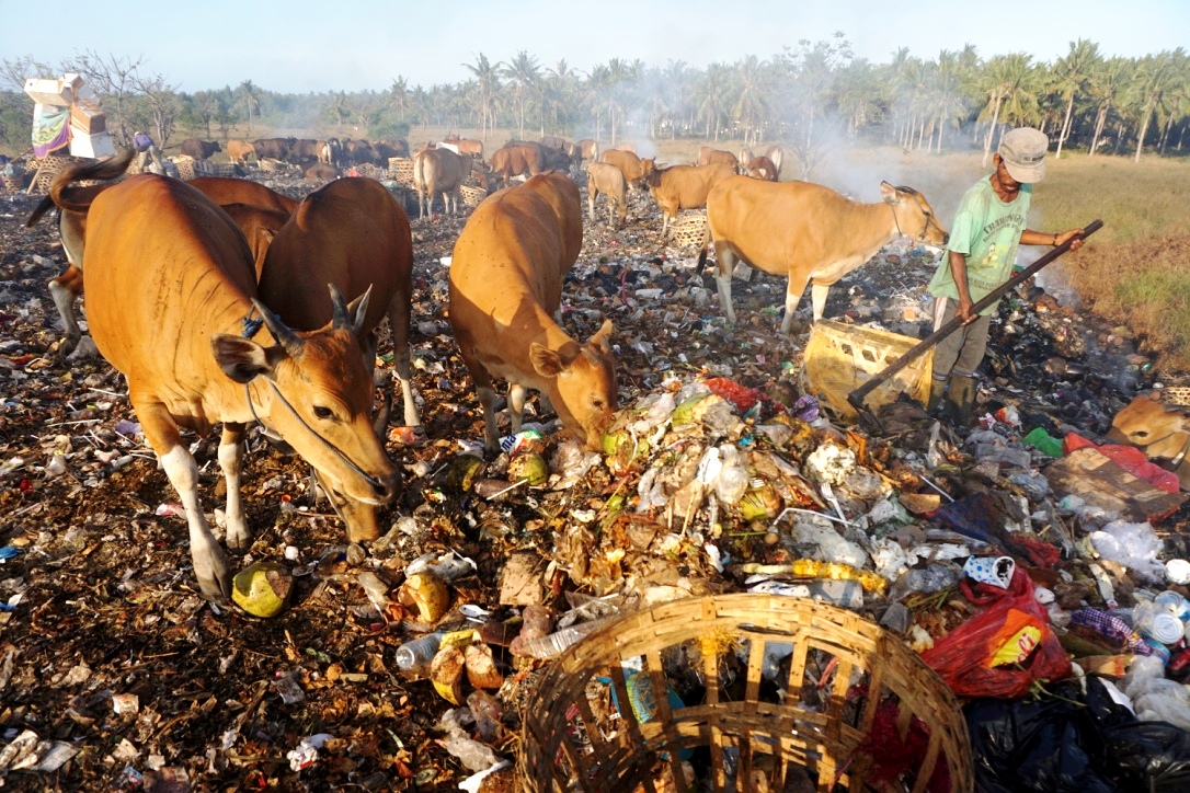 Pemilahan sampah di TPS Gili Trawangan, NTB. Foto : Anton Muhajir