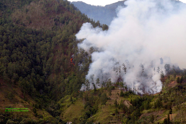 Hutan di Sipanganbolon, Simalungun, Sumut, terbakar (14/10/16). Kebakaran hutan menyebabkan kabut asap yang buruk bagi kesehatan manusia. Foto: Ayat S Karokaro