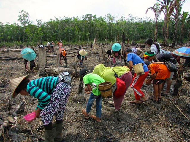 Warga di Sei Ambawang, Kabupaten Kubu Raya, tengan mamsukkan bibit-bibit tanaman. Larangan warga bahan lahan dengan pengawas tentara bikin warga khawatir. Foto: Henrikus Adam/ 