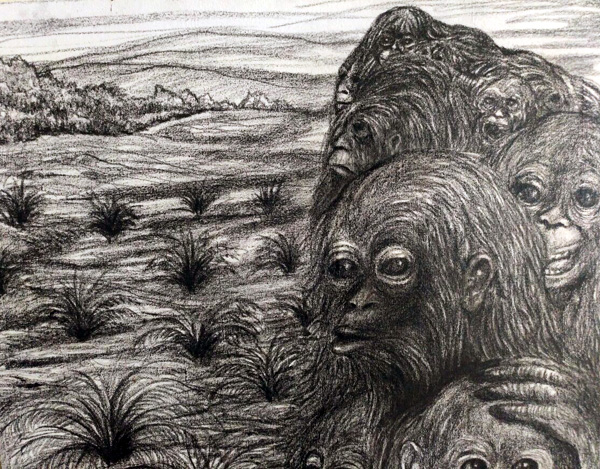 Sketsa orangutan yang ada di Museum Orangutan milik Herfin Yulianto. Foto: Putri Hadrian