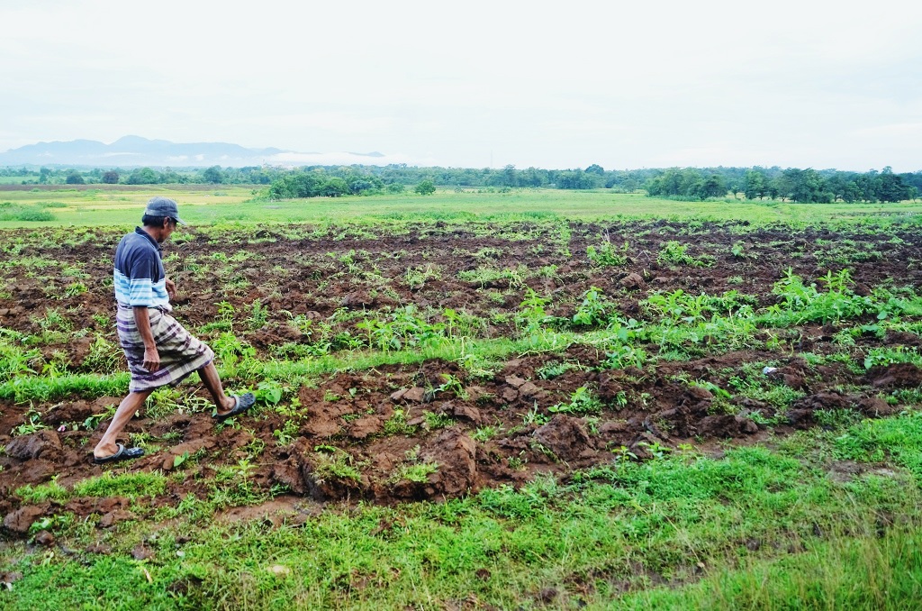 Lahan Daeng Genda seluas 4 hektar Pulongbangkeng Utara, Kabupaten Takalar, Sulsel, yang tidak lagi bisa ditanami setelah diambil secara paksa oleh PTPN yang melibatkan Brimob pada 2015 lalu. Foto: Wahyu Chandra