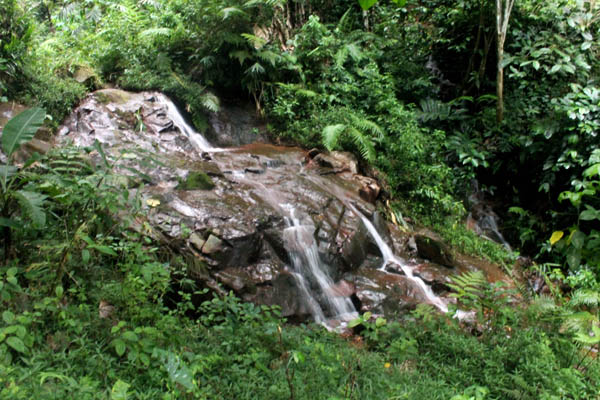 Aliran air sungai dari sumber mata air ini melewati bebatuan di pegunungan Semungklung. Masyarakat selalu menjaga dan merawatnya. Foto: Petrus Riski