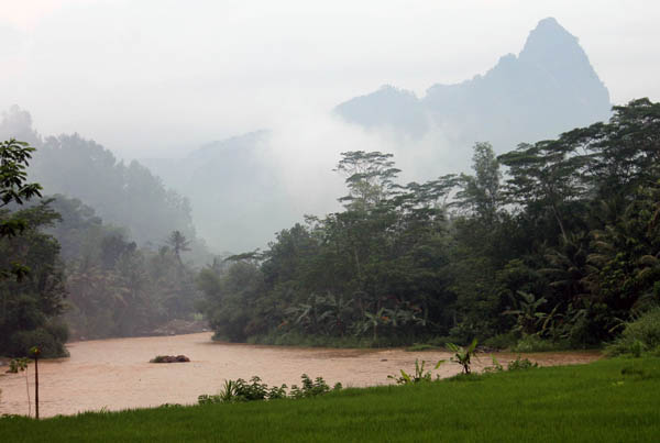 Gunung Manikoro di Desa Ngadimulyo, Kecamatan Kampak, yang mengalirkan air ke Sungai Tawing dan dimanfaatkan masyarakat untuk dipakai mengairi sawah mereka. Foto: Petrus Riski