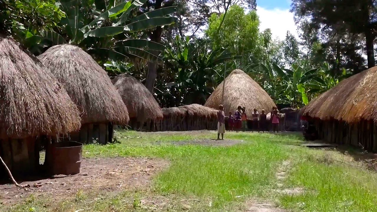 Jajaran honai, rumah adat masyarakat Jayawijaya. Honai Adat di Desa Witawaya. Foto: Wahyu Mulyono
