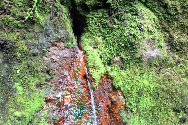 Plancuran adalah sumber mata air di pegunungan Semungklung yang dianggap keramat oleh sebagian warga. Foto: Petrus Riski