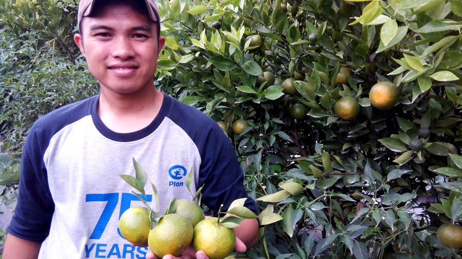 Mengembangkan jeruk garut adalah hal yang sangat membanggakan Rizal. Ia bertekad untuk mengembangkan jenis jeruk lainnya. Foto: Dok. Rizal Fahreza