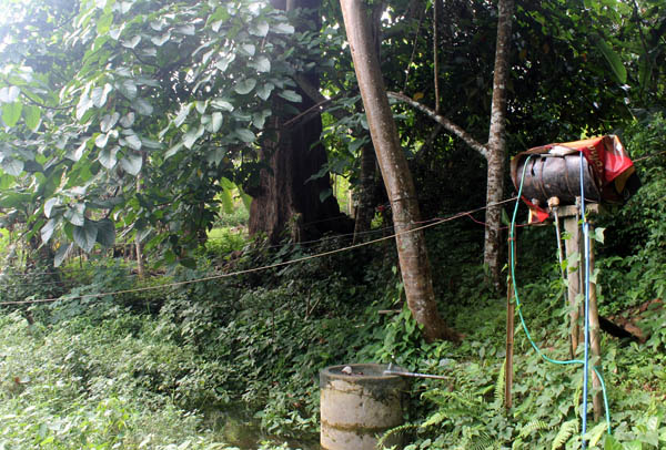 Sumber mata air ini muncul di bawah pohon besar di Kecamatan Panggul, Trenggalek yang dimanfaatkan oleh warga untuk kebutuhan keseharian. Foto: Petrus Riski