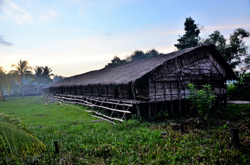 Untuk pembuatan rumah adat Asmat yang disebut jew bahan kayunya diambil dari hutan mangrove yang disebut hutan Mangi-mangi. Jew ini biasanya dipergunakan selama kurang lebih 6 tahun sebelum dibongkar dan diganti dengan bangunan baru. Foto: Wahyu Chandra