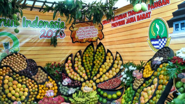 Buah-buah lokal Indonesia dalam ajang Fruit Indonesia 2016. Foto: Indra Nugraha