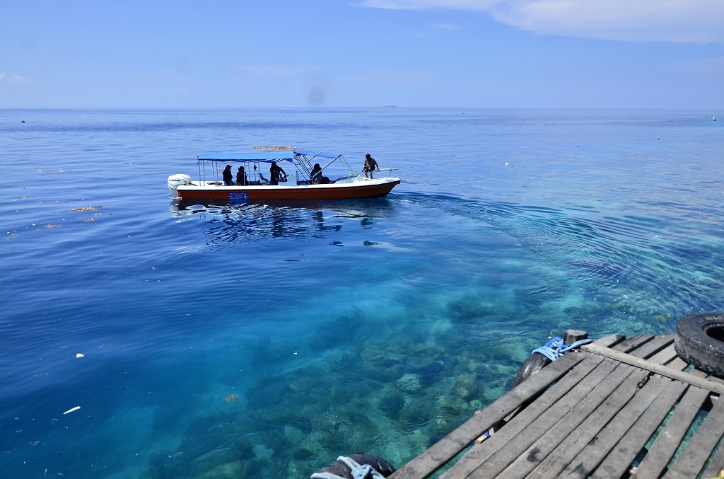 Pengawasan dilakukan baik terhadap pertumbuhan karang ataupun untuk melihat jumlah karang yang mati di Pulau Badi, Kabupaten Pangkep, Sulsel. Foto: Wahyu Chandra