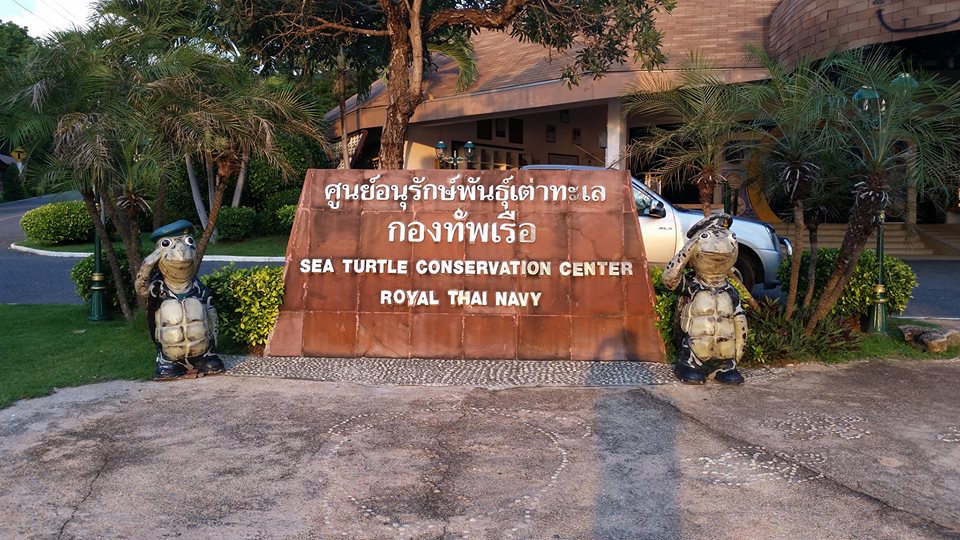 Sea Turtle Conservation Center dari angkatan laut tentara Thailand. Pemerintah Thailand memiliki komitmen dan kepedulian yang tinggi dalam menangani mamalia laut terdampar. Foto : Dwi Suprapti WWF-Indonesia